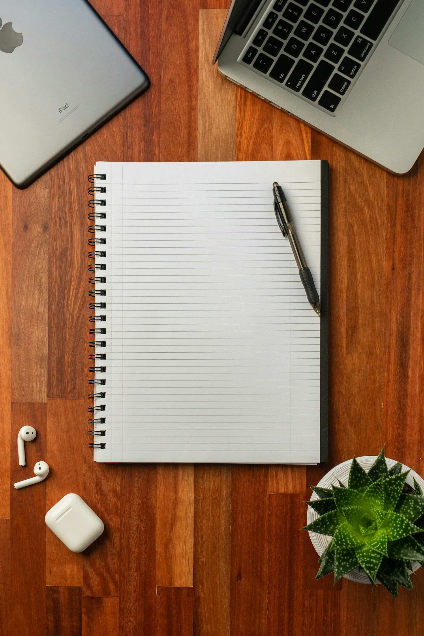 Lessons Learned from a Journey of Creativity